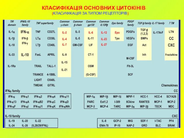 КЛАСИФІКАЦІЯ ОСНОВНИХ ЦИТОКІНІВ (КЛАСИФІКАЦІЯ ЗА ТИПОМ РЕЦЕПТОРІВ)