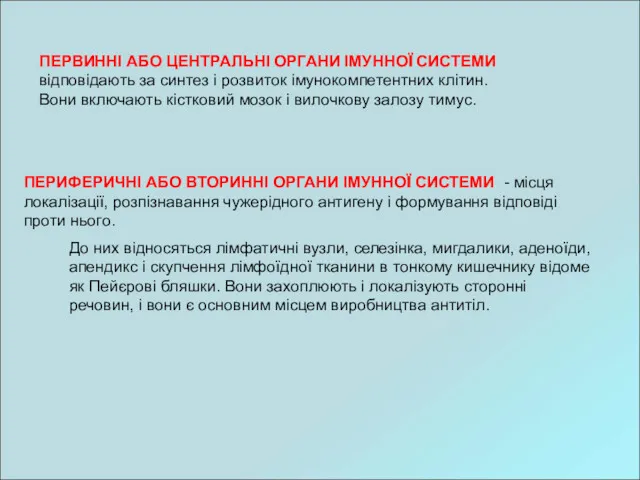 ПЕРВИННІ АБО ЦЕНТРАЛЬНІ ОРГАНИ ІМУННОЇ СИСТЕМИ відповідають за синтез і