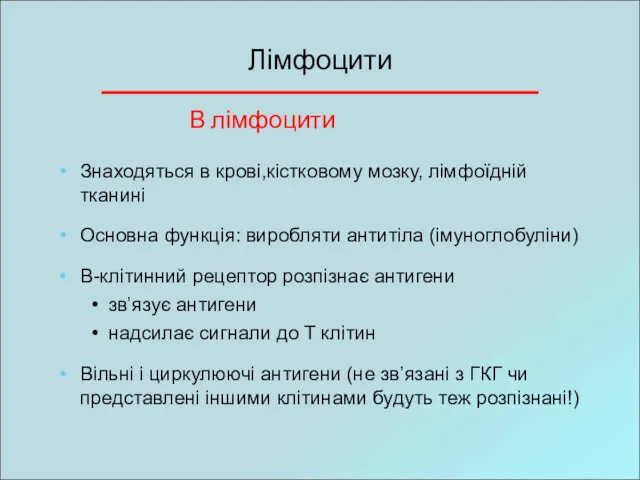 Лімфоцити Знаходяться в крові,кістковому мозку, лімфоїдній тканині Основна функція: виробляти