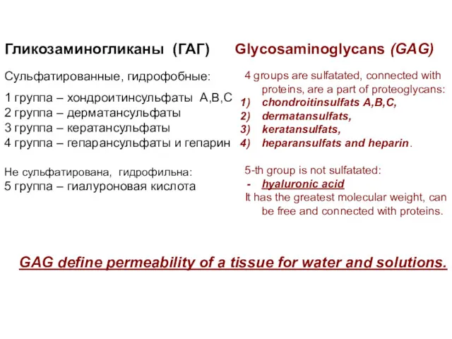 1 группа – хондроитинсульфаты А,В,С 2 группа – дерматансульфаты 3