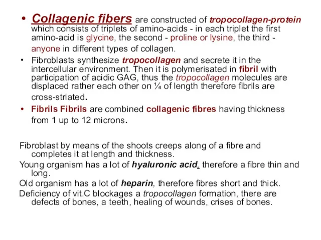 Collagenic fibers are constructed of tropocollagen-protein which consists of triplets