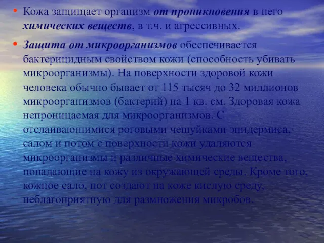 Кожа защищает организм от проникновения в него химических веществ, в