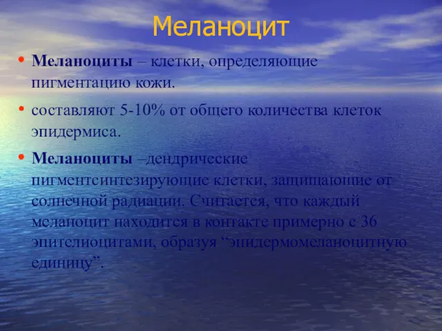 Меланоцит Меланоциты – клетки, определяющие пигментацию кожи. составляют 5-10% от