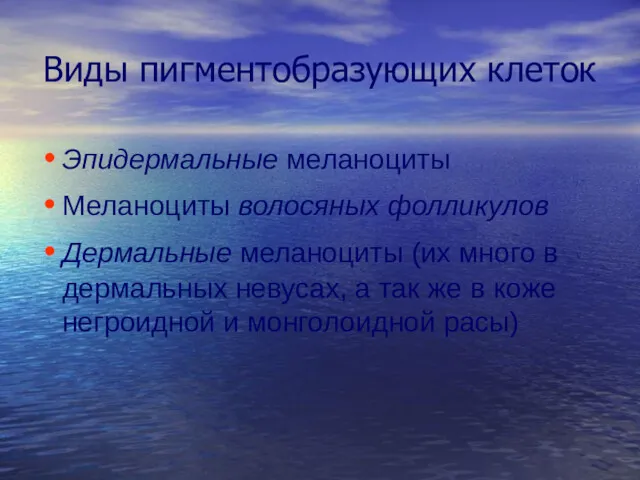 Виды пигментобразующих клеток Эпидермальные меланоциты Меланоциты волосяных фолликулов Дермальные меланоциты