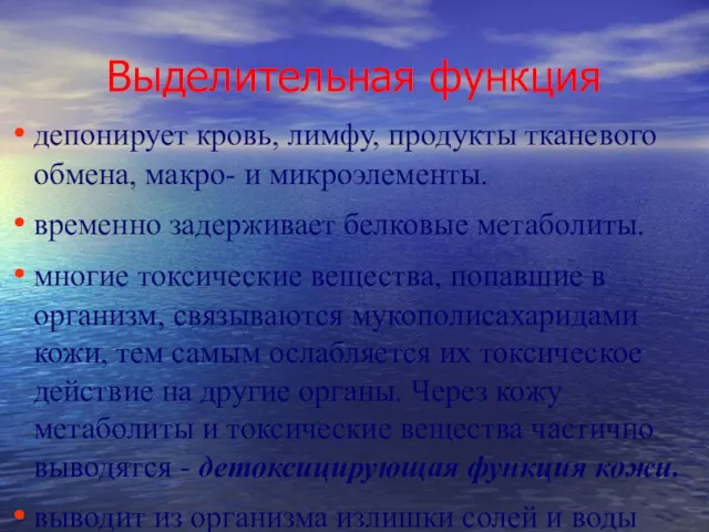 Выделительная функция депонирует кровь, лимфу, продукты тканевого обмена, макро- и