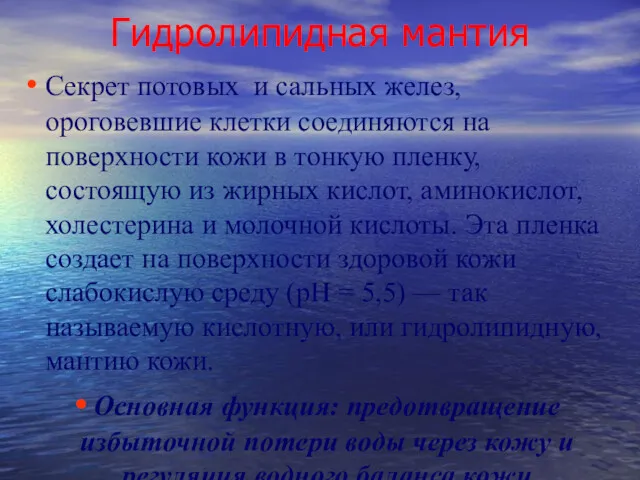 Гидролипидная мантия Секрет потовых и сальных желез, ороговевшие клетки соединяются