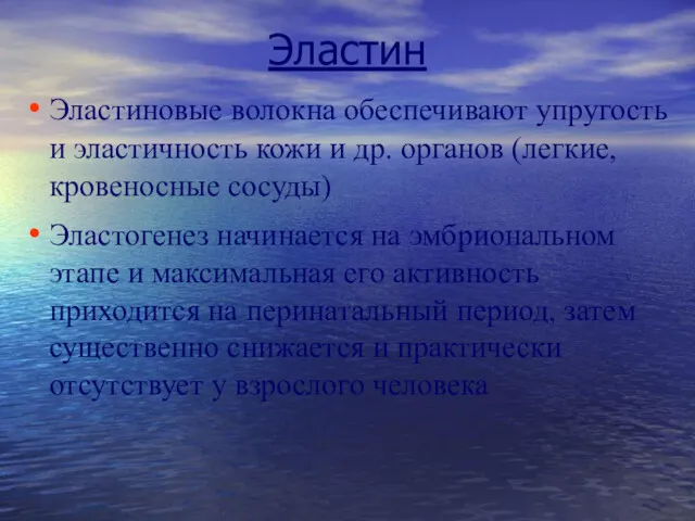 Эластин Эластиновые волокна обеспечивают упругость и эластичность кожи и др.