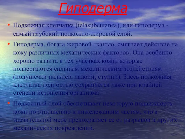 Гиподерма Подкожная клетчатка (telasubcutanea), или гиподерма - самый глубокий подкожно-жировой