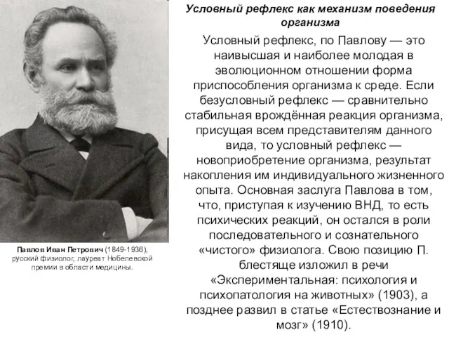 Павлов Иван Петрович (1849-1936), русский физиолог, лауреат Нобелевской премии в