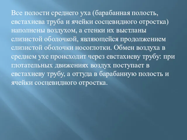 Все полости среднего уха (барабанная полость, евстахиева труба и ячейки