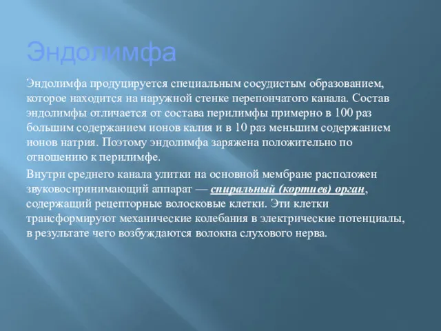 Эндолимфа Эндолимфа продуцируется специальным сосудистым образованием, которое находится на наружной стенке перепончатого канала.