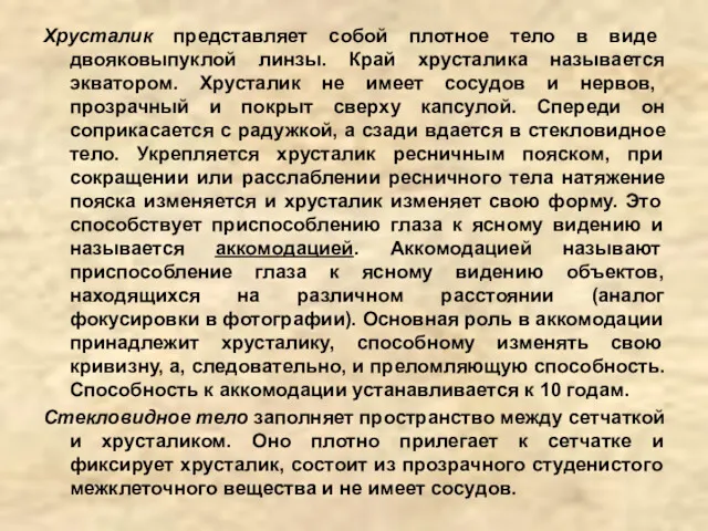 Хрусталик представляет собой плотное тело в виде двояковыпуклой линзы. Край