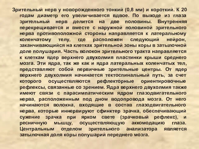 Зрительный нерв у новорожденного тонкий (0,8 мм) и короткий. К