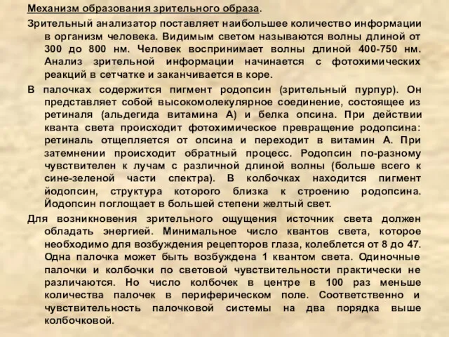 Механизм образования зрительного образа. Зрительный анализатор поставляет наибольшее количество информации