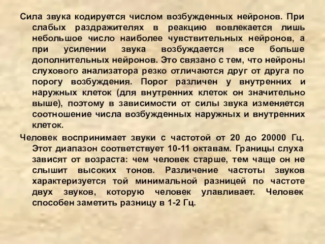 Сила звука кодируется числом возбужденных нейронов. При слабых раздражителях в