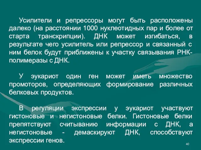 Усилители и репрессоры могут быть расположены далеко (на расстоянии 1000