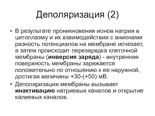 Деполяризация (2) В результате проникновения ионов натрия в цитоплазму и