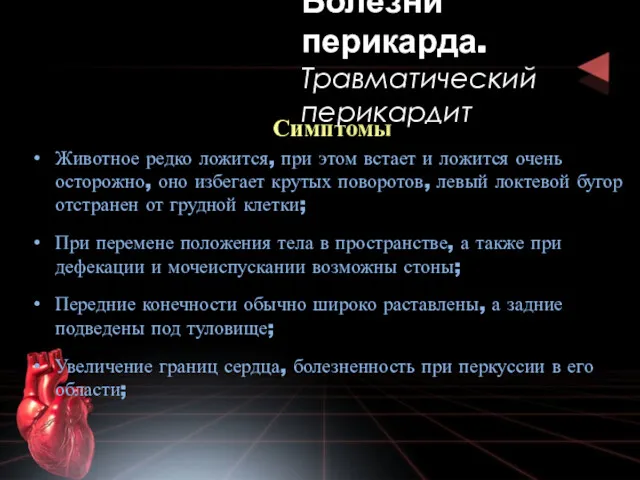 Симптомы Животное редко ложится, при этом встает и ложится очень осторожно, оно избегает