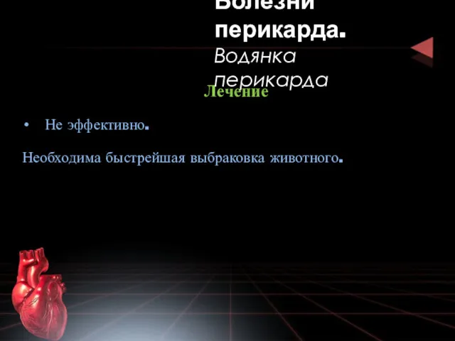 Лечение Не эффективно. Необходима быстрейшая выбраковка животного. Болезни перикарда. Водянка перикарда