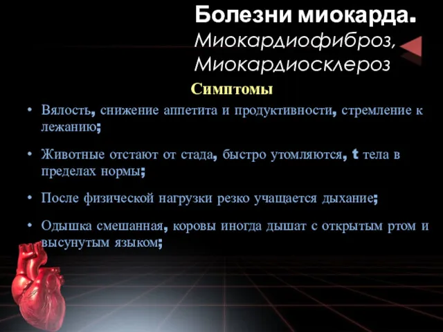 Симптомы Вялость, снижение аппетита и продуктивности, стремление к лежанию; Животные отстают от стада,