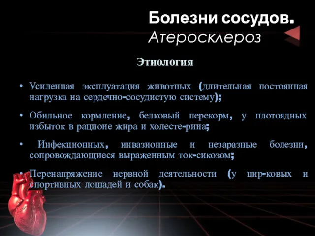 Этиология Усиленная эксплуатация животных (длительная постоянная нагрузка на сердечно-сосудистую систему); Обильное кормление, белковый