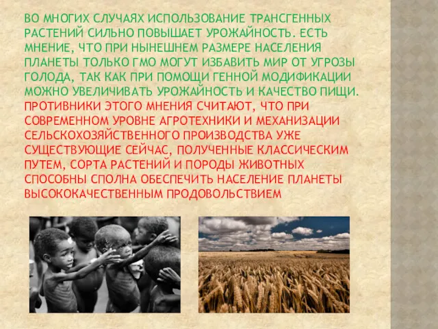 ВО МНОГИХ СЛУЧАЯХ ИСПОЛЬЗОВАНИЕ ТРАНСГЕННЫХ РАСТЕНИЙ СИЛЬНО ПОВЫШАЕТ УРОЖАЙНОСТЬ. ЕСТЬ