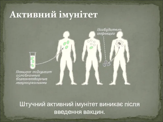 Активний імунітет Штучний активний імунітет виникає після введення вакцин.