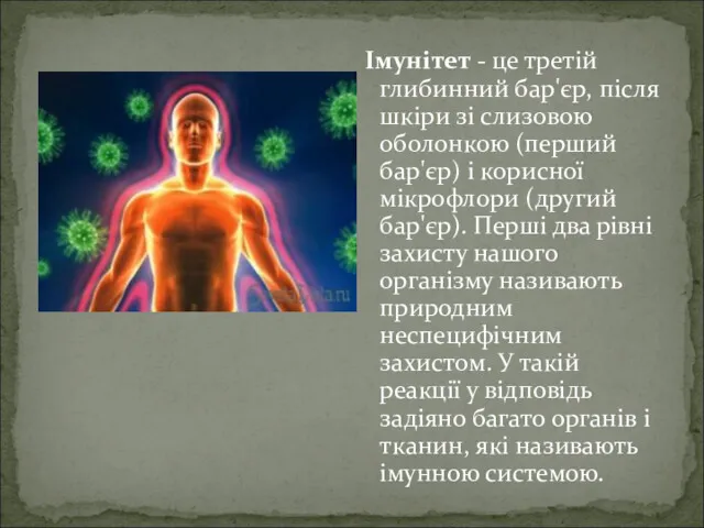 Імунітет - це третій глибинний бар'єр, після шкіри зі слизовою