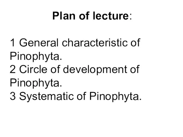 Plan of lecture: 1 General characteristic of Pinophyta. 2 Circle