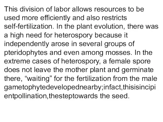 This division of labor allows resources to be used more