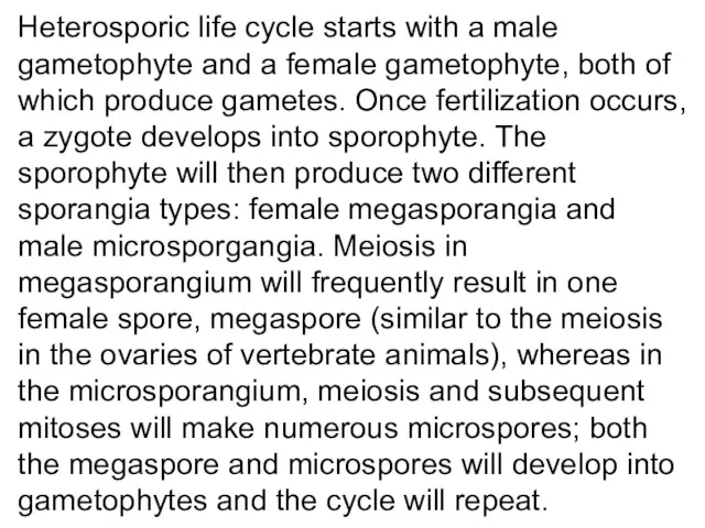 Heterosporic life cycle starts with a male gametophyte and a