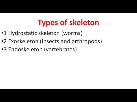 Types of skeleton 1 Hydrostatic skeleton (worms) 2 Exoskeleton (insects and arthropods) 3 Endoskeleton (vertebrates)