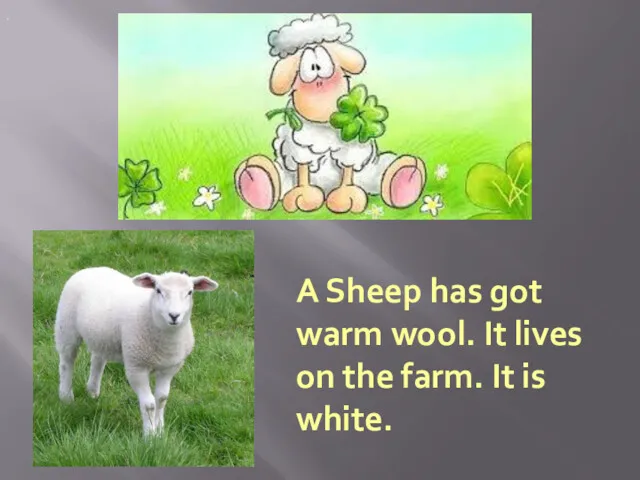 . A Sheep has got warm wool. It lives on the farm. It is white.