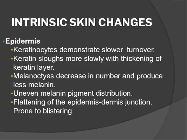 INTRINSIC SKIN CHANGES Epidermis Keratinocytes demonstrate slower turnover. Keratin sloughs more slowly with