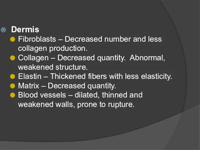 Dermis Fibroblasts – Decreased number and less collagen production. Collagen – Decreased quantity.