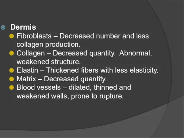 Dermis Fibroblasts – Decreased number and less collagen production. Collagen