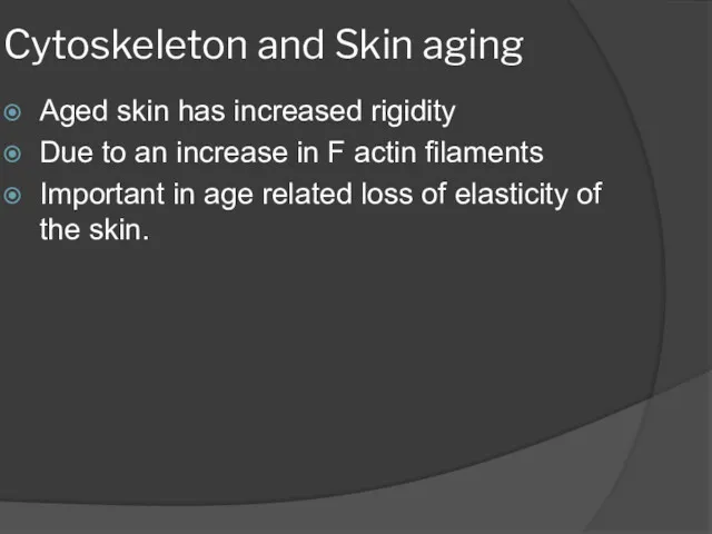 Cytoskeleton and Skin aging Aged skin has increased rigidity Due to an increase