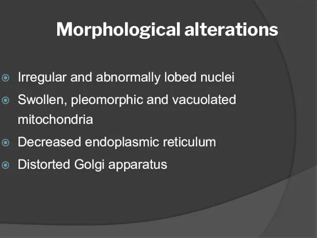 Morphological alterations Irregular and abnormally lobed nuclei Swollen, pleomorphic and vacuolated mitochondria Decreased