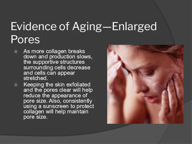 Evidence of Aging—Enlarged Pores As more collagen breaks down and production slows, the