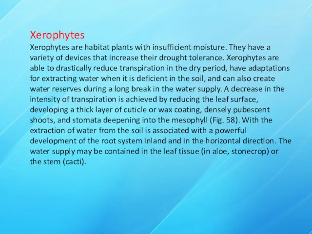 Xerophytes Xerophytes are habitat plants with insufficient moisture. They have