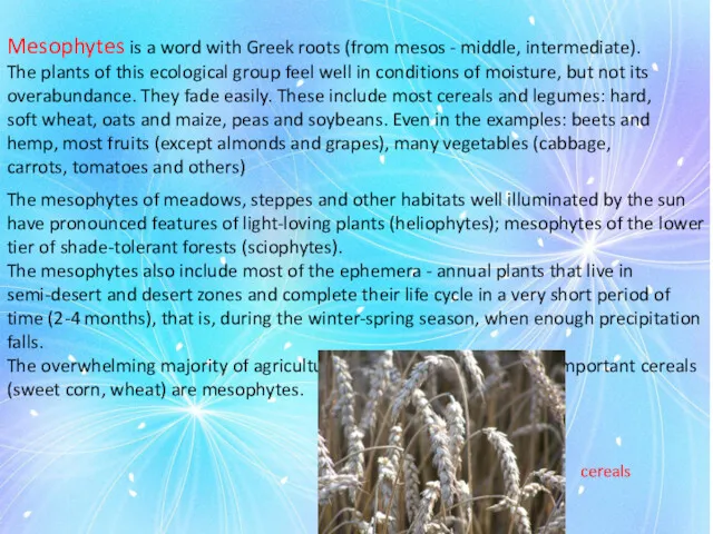 Mesophytes is a word with Greek roots (from mesos -