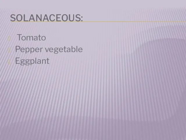 SOLANACEOUS: Tomato Pepper vegetable Eggplant