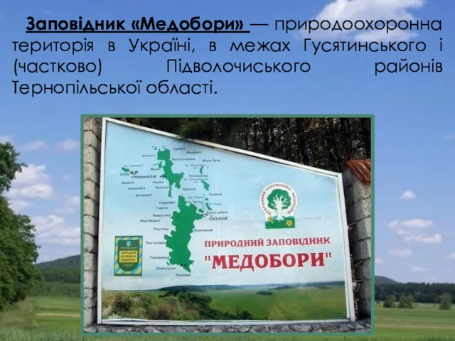 Заповідник «Медобори» — природоохоронна територія в Україні, в межах Гусятинського і (частково) Підволочиського районів Тернопільської області.