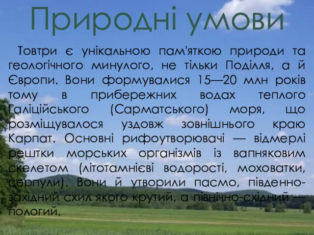 Товтри є унікальною пам'яткою природи та геологічного минулого, не тільки