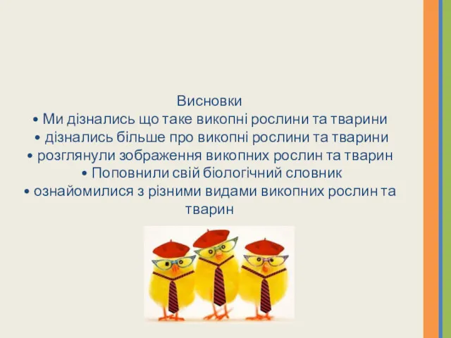 Висновки • Ми дізнались що таке викопні рослини та тварини • дізнались більше