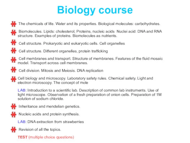 Biology course The chemicals of life. Water and its properties. Biological molecules: carbohydrates.