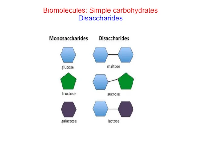 Biomolecules: Simple carbohydrates Disaccharides