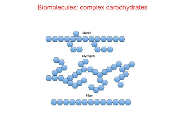 Biomolecules: complex carbohydrates