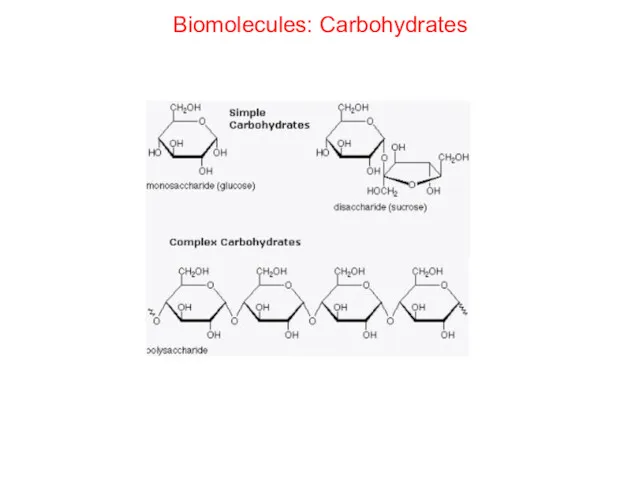 Biomolecules: Carbohydrates