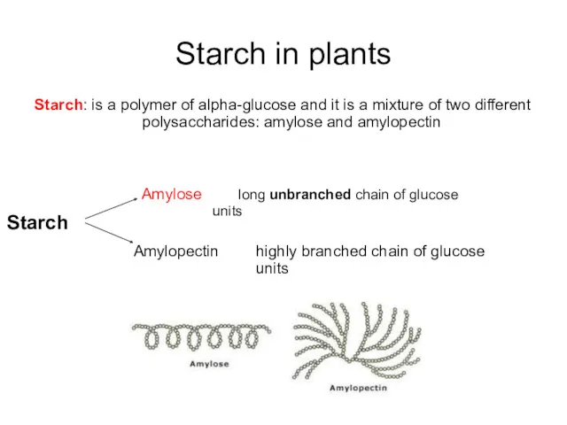 Starch in plants Starch: is a polymer of alpha-glucose and it is a